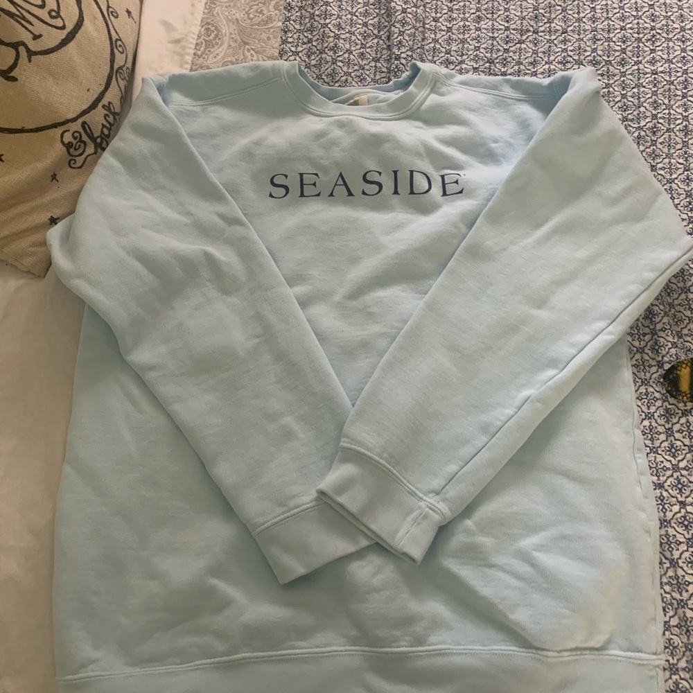 Comfort Colors Crewneck Sweater in Light Mint Green